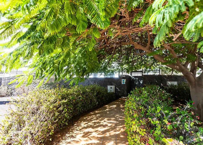 Marina Rubicon Number 3 Lejlighed