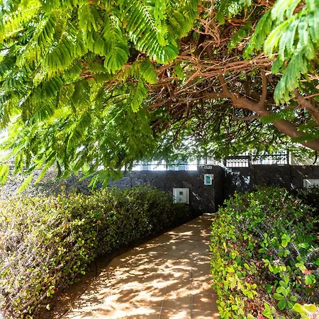 Marina Rubicon Number 3 Apartament